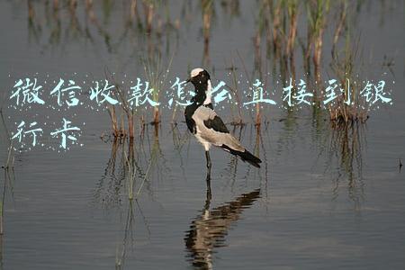 微信收款怎么直接到银行卡