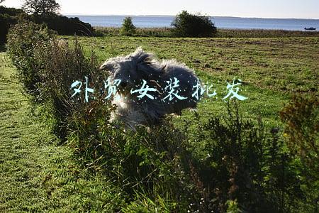 广州外贸女装批发(上半年，广州越秀市场采购贸易和跨境电商等外贸新业态呈现上升趋势)