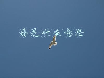 薅是什么意思怎么读(鲁西南方言杂谈-薅)