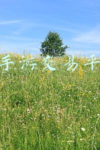 淘手游交易平台