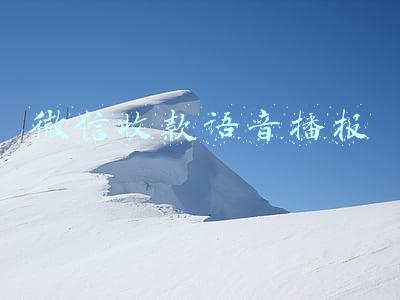 微信收款语音播报
