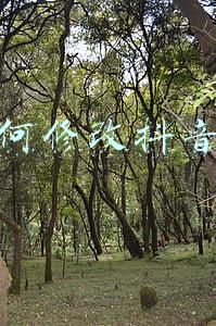 如何修改抖音号