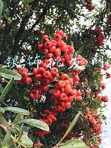 银饰批发网