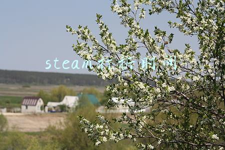 steam打折时间