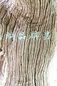 网购品牌男装