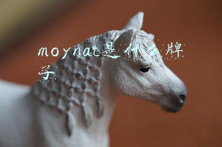 moynat是什么牌子