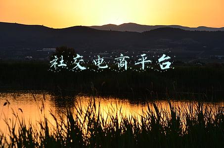 社交电商平台