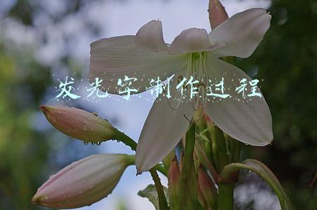 发光字制作过程