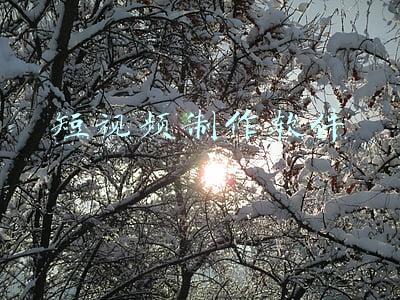 短视频制作软件