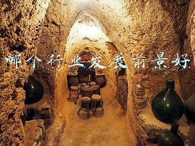 哪个行业发展前景好
