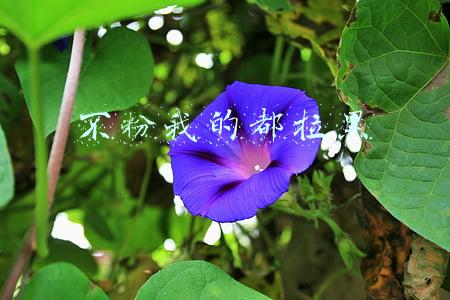 不粉我的都拉黑漫画免费阅读(骗财、自杀、诱奸……四个关于“饭圈女孩”的故事)