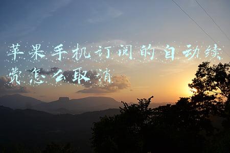 苹果手机订阅的自动续费怎么取消