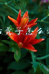 交错话费了怎么退回来