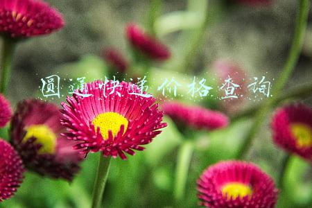 圆通快递价格查询表(价格战持续，圆通单票毛利仅为0.1元)