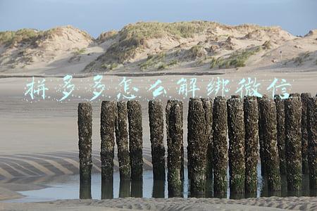拼多多怎么解绑微信