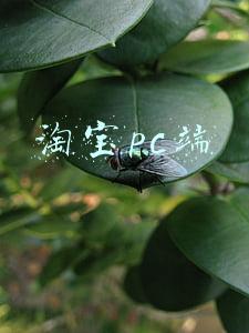 淘宝pc端