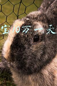 余额宝10万一天多少钱
