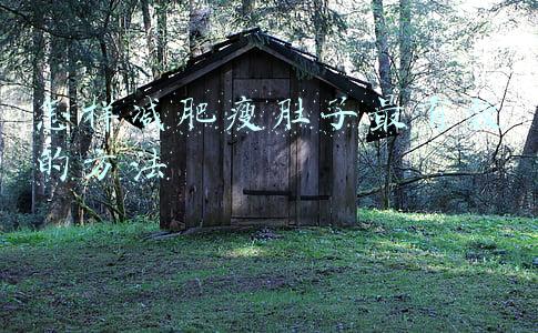 怎样减肥瘦肚子最有效的方法
