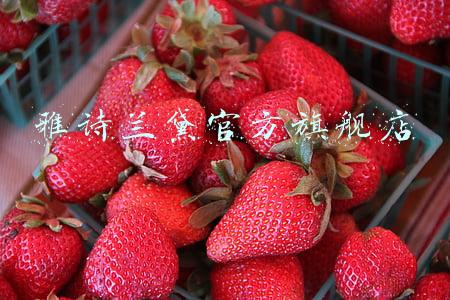 雅诗兰黛官方旗舰店客服电话(京东美妆高端护肤阵营再添新成员！雅诗兰黛冻龄白金系列盛大入驻)