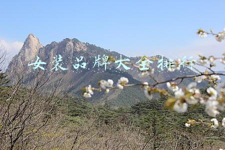 女装品牌大全排行