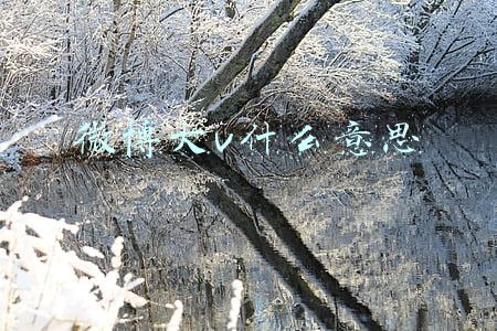 微博大v什么意思