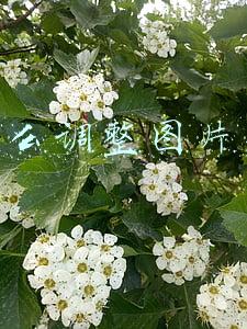 ps怎么调整图片颜色