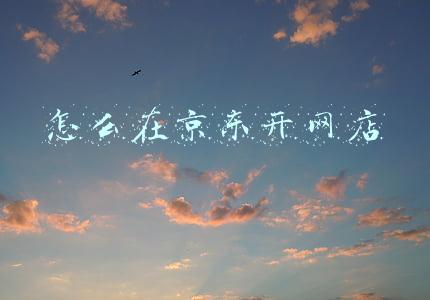 怎么在京东开网店