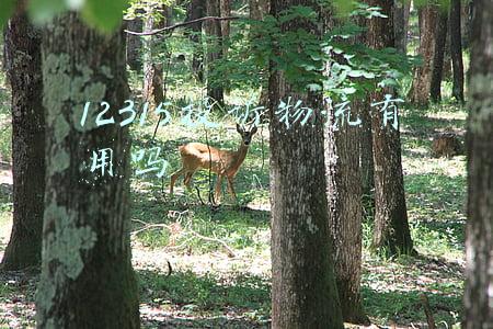12315投诉物流有用吗