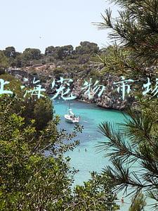 上海宠物市场分析(2022-2028年中国宠物店市场深度研究与投资可行性报告)