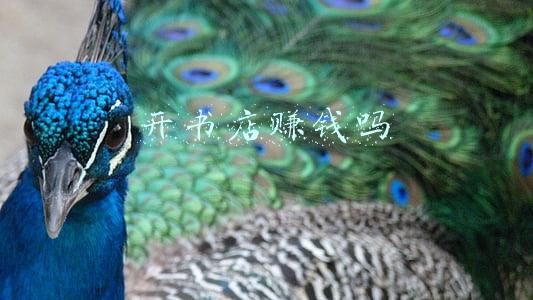 开书店赚钱吗