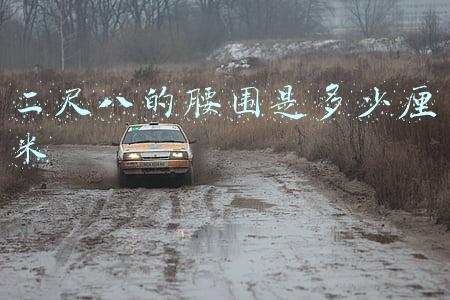 二尺八的腰围是多少厘米
