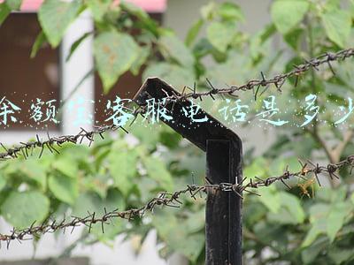 余额宝客服电话人工服务电话(吐槽支付宝一些问题)