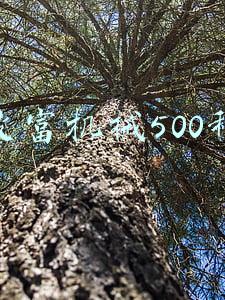 致富机械500种