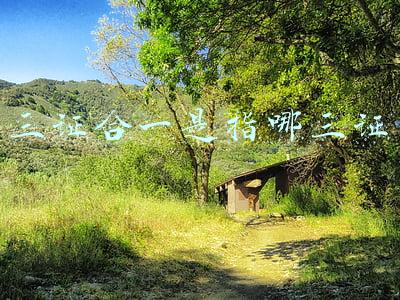 三证合一是指哪三证