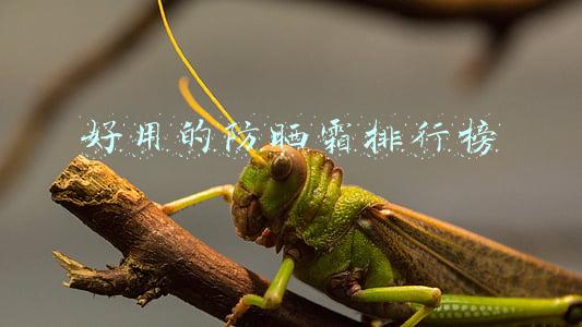 好用的防晒霜排行榜