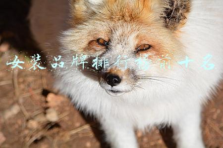 女装品牌排行榜前十名