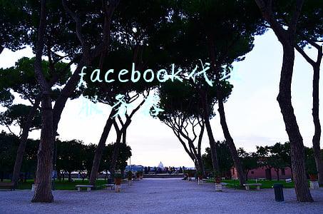 facebook代理服务器