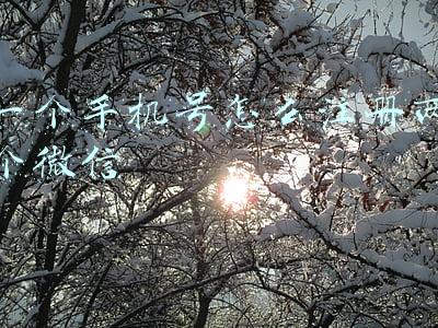 一个手机号怎么注册两个微信