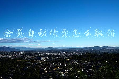 会员自动续费怎么取消