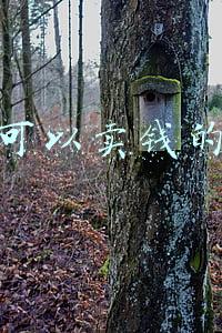 装备可以卖钱的手游