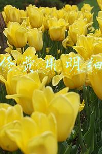 装修费用明细表