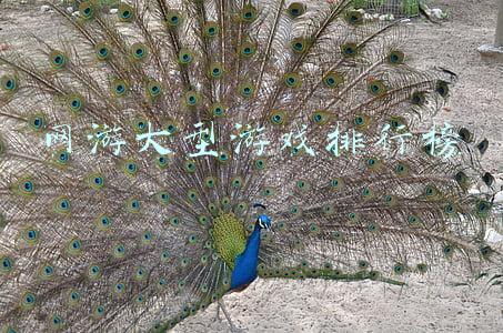 网游大型游戏排行榜