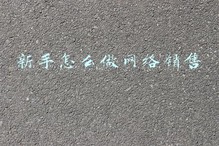 新手怎么做网络销售