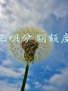 花呗分期额度
