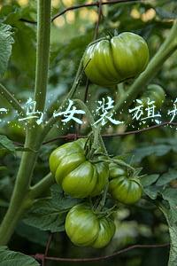 太平鸟女装旗舰店