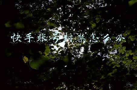快手账号封禁怎么办