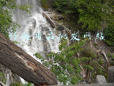 中国最大的情趣用品批发地在哪里(国内首家硅胶娃娃体验店面临夭折：争议中艰难前行，无缘由被查封)