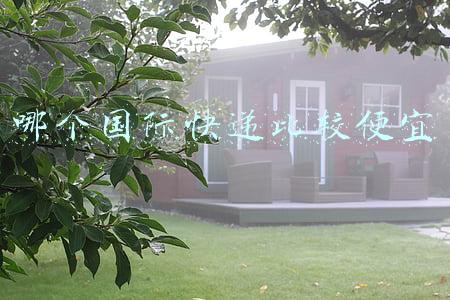 哪个国际快递比较便宜