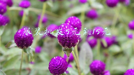 服装批发5元到15元