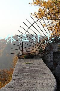 电子体温计怎么用图解(耳温枪你真的会用吗？姿势不对，当心无效测温)